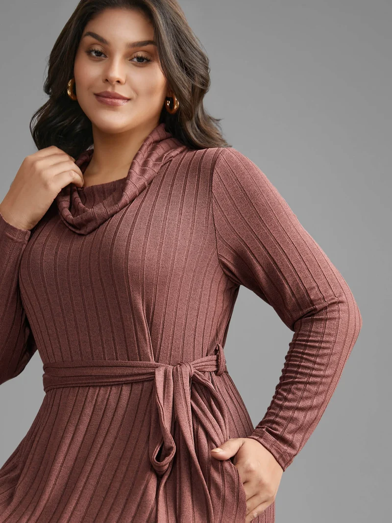Pit Strip Turtleneck Belted Dress