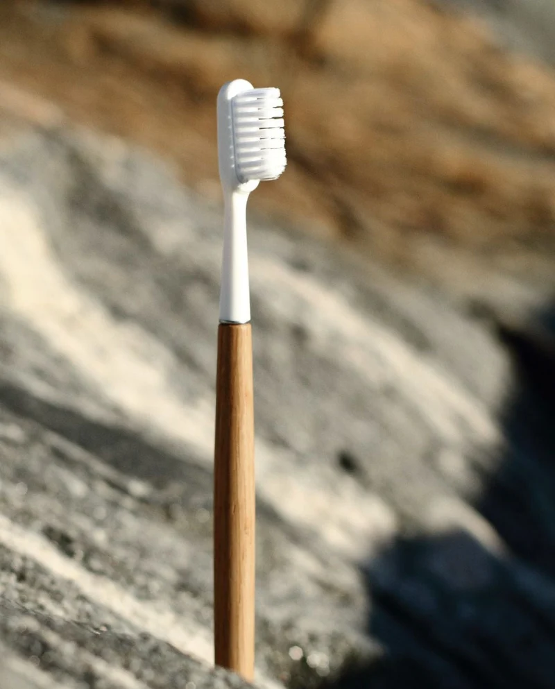 Brosse à dents rechargeable en bois