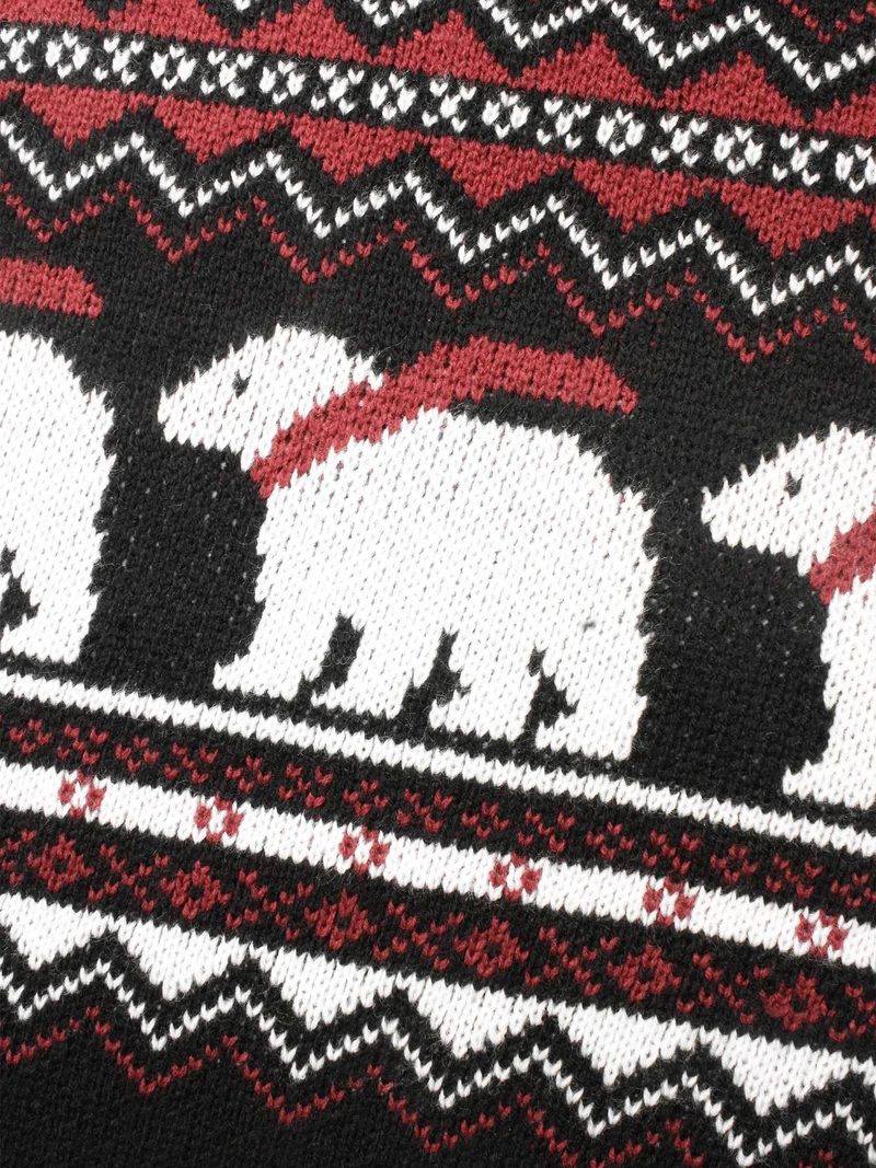 Polar Bear Motifs Turtle Neck Pullover