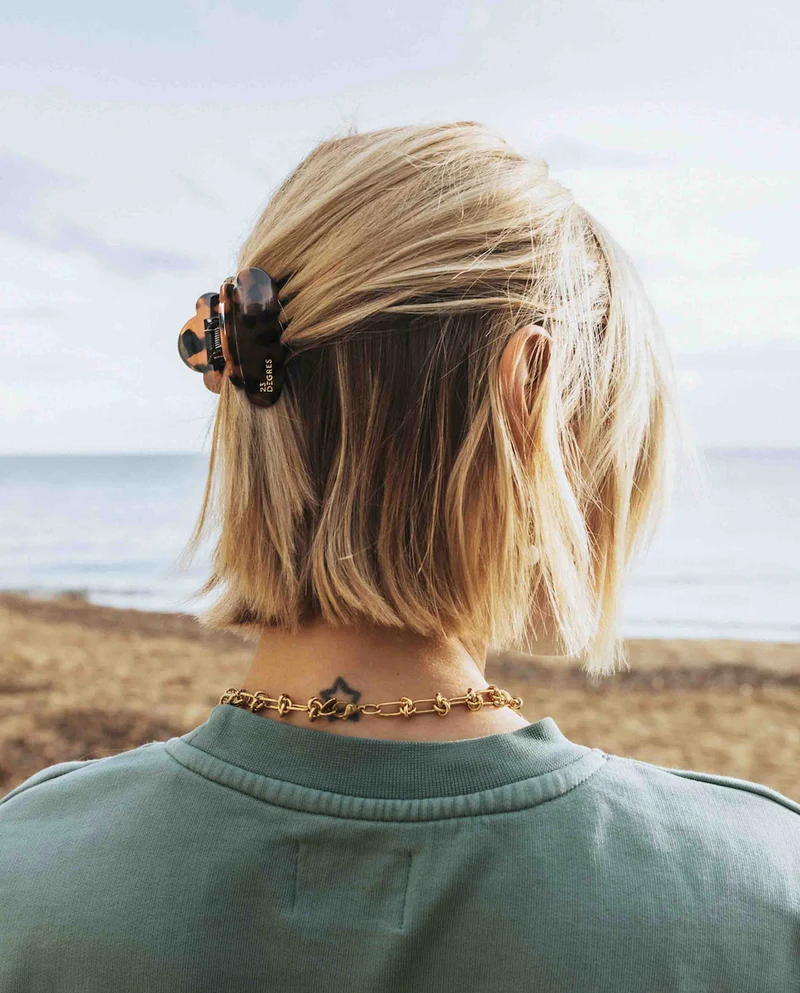 Pince à cheveux nuage