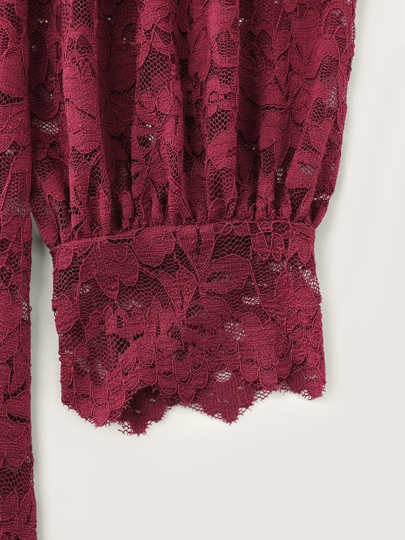 Spice It Up Sheer Lace Blouse
