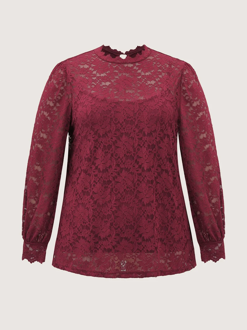 Spice It Up Sheer Lace Blouse