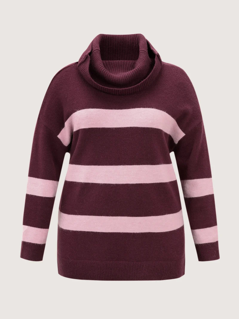 Turtleneck Colorblock Drop Shoulder Pullover