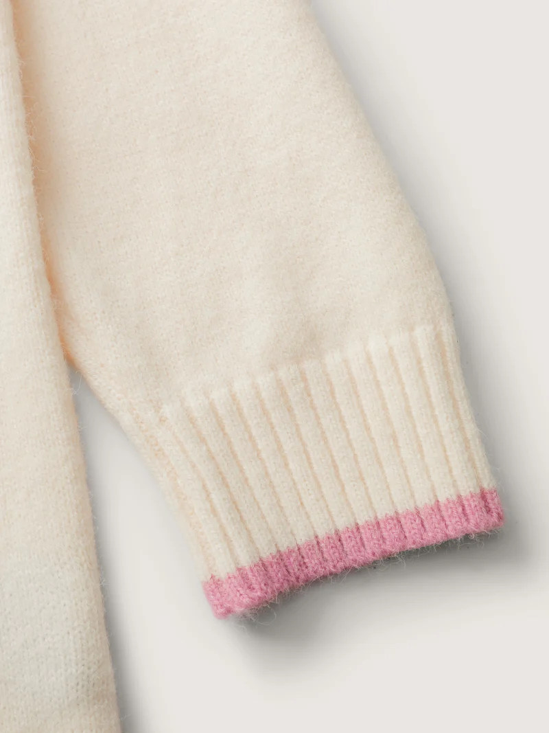 Cute Pet Pattern Jacquard Pullover