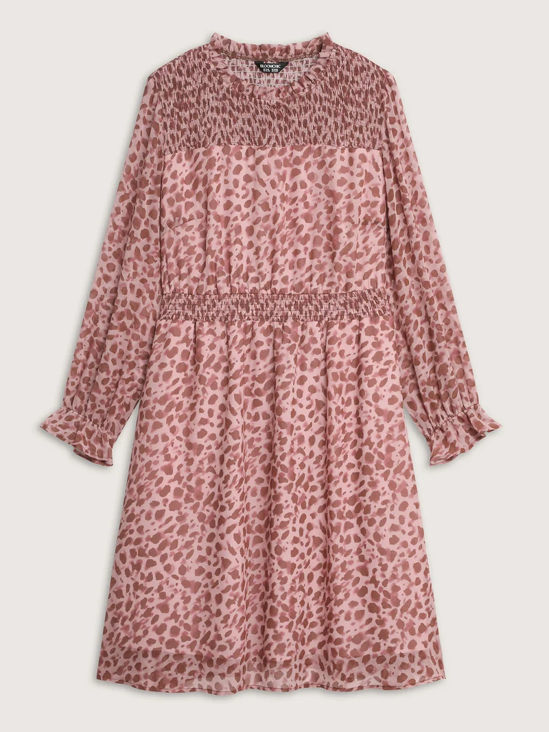 Leopard Print Shirred Waist Midi Dress