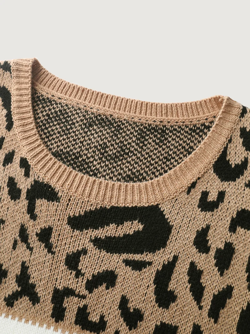 Leopard Print Colorblock Pullover