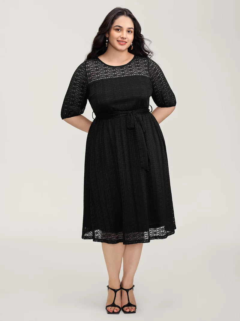 Lace Trim Sheer Stretchy Waist Midi Dress