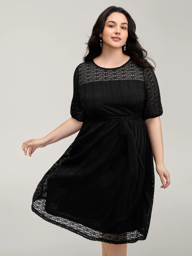 Lace Trim Sheer Stretchy Waist Midi Dress