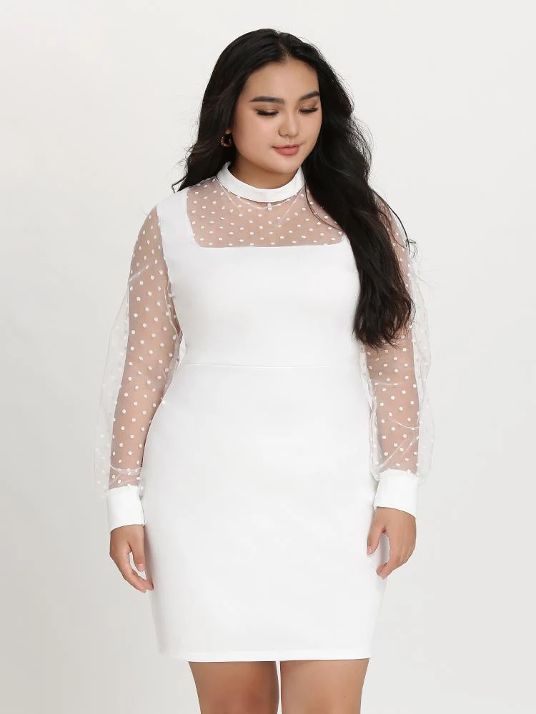 Mesh Dot Patchwork Dress zanus