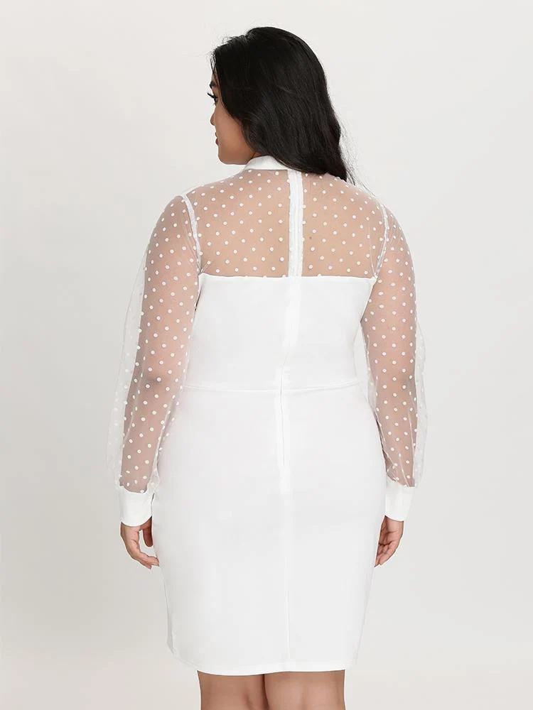 Mesh Dot Patchwork Dress zanus