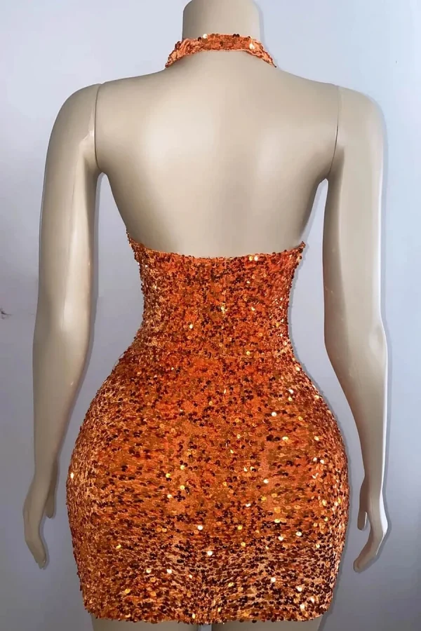 Robe de soirée scintillante à dos nu et col en V avec sequins et soutien-gorge