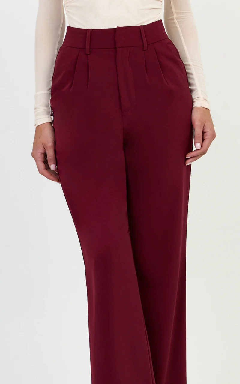 Melissa Pants - Pleat Front Wide Leg Tailored Pants in Wine